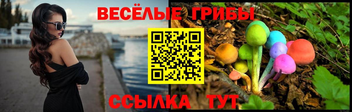 Галлюциногенные грибы Psilocybine cubensis  Псилоцибиновые грибы Magic Shrooms  Барнаул  Вход с VPN 