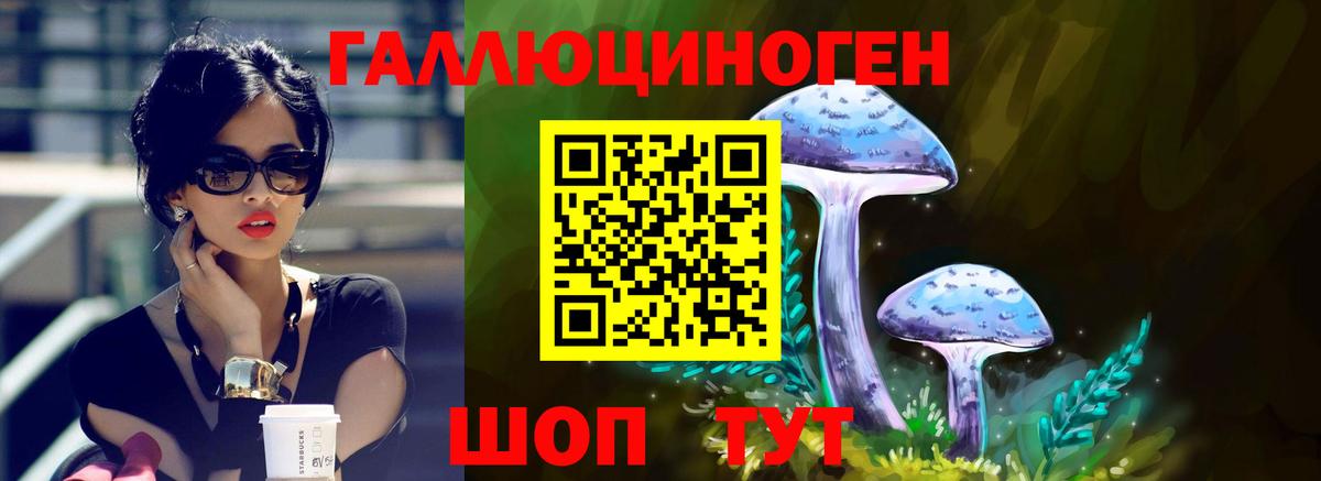 Галлюциногенные грибы Psilocybine cubensis Барнаул